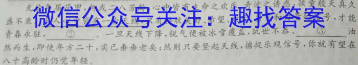 江西省南昌市2024-2023学年度八年级第二学期期中测试卷语文