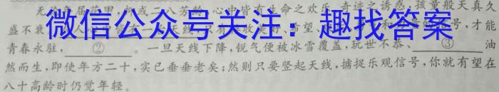 安徽省无为市2023届九年级第二学期学情调研语文