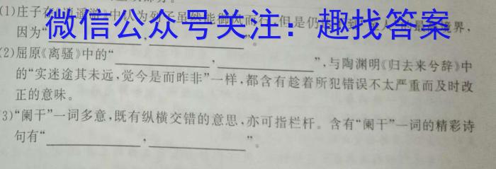 2023年湖北省孝感市高二期中考试语文