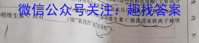 2023年陕西省初中学业水平考试·全真模拟（六）化学