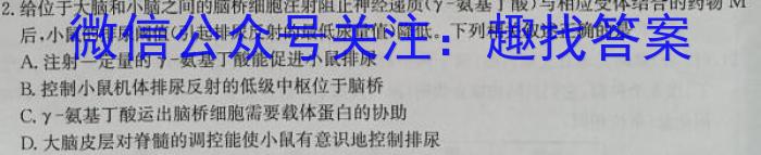 2023年河北省新高考模拟卷（四）生物试卷答案