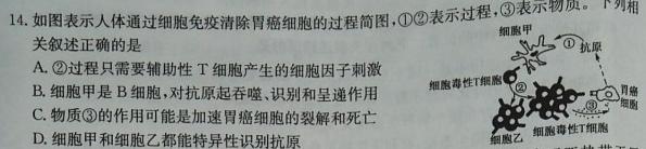 ［开封二模］2023年开封市高三年级第二次模拟考试生物
