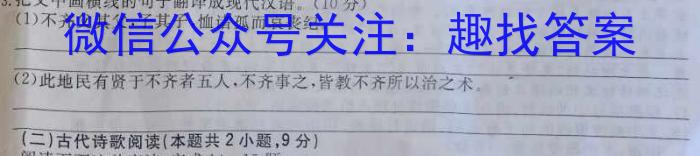 2023届陕西省第五次模拟考试语文