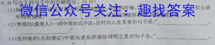 龙岩市一级校联盟2024-2023学年高一年级第二学期半期考联考(23-385A)语文