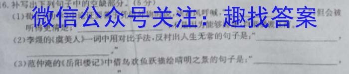 云南省巧家县2023年春季学期九年级第一次模拟监测卷语文