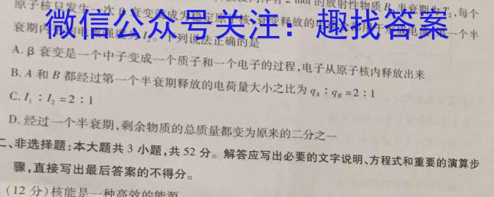 2023年普通高等学校招生全国统一考试金卷仿真密卷(十二)12 23新高考·JJ·FZMJ物理`