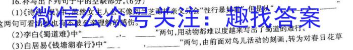 新版2023届 中考导航六区联考试卷(一)语文