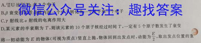 安徽省十联考2022-2023学年度第二学期高二期中联考l物理