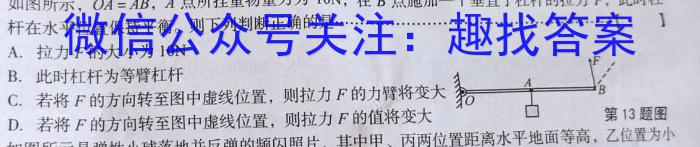 学林教育 2023年陕西省初中学业水平考试·全真模拟卷(一)Af物理