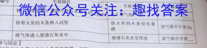 皖智教育安徽第一卷·2023年安徽中考信息交流试卷(三)化学