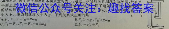 2023年普通高等学校招生全国统一考试冲刺预测·金卷(五)l物理