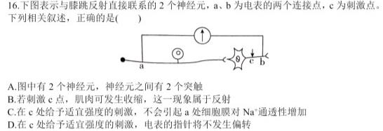 2023年湖北省新高考信息卷(三)生物