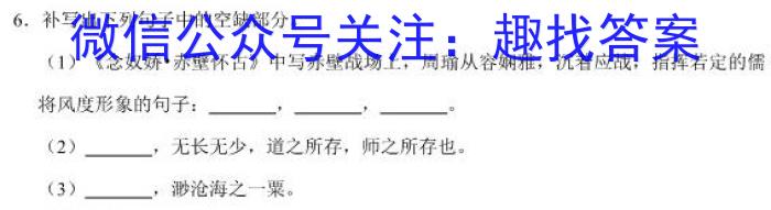 河南省2024-2023学年中原名校中考联盟测评（二）语文