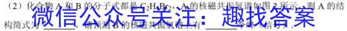 2023年陕西省初中学业水平考试·全真模拟卷（二）A版化学