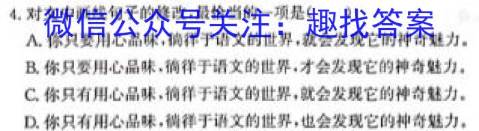 2023年陕西省初中学业水平考试•全真模拟（三）A版语文