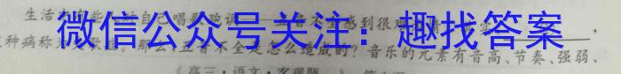 湘教考苑 2023年高考模拟试卷(试题卷二)语文