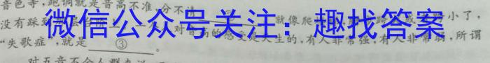 湘教考苑 2023年高考模拟试卷(试题卷二)语文