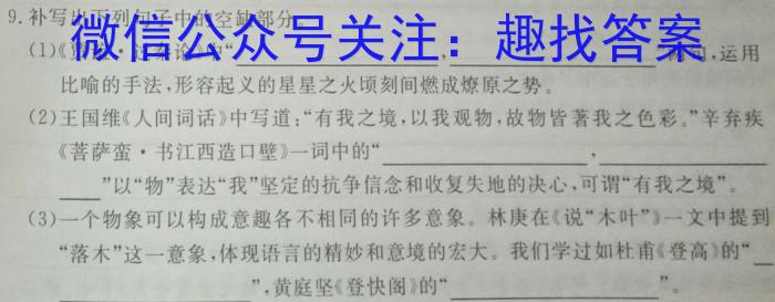 江西省2023届九年级江西中考总复*模拟卷（二）语文