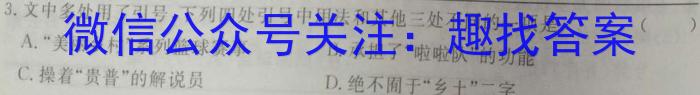 2023年商洛市第二次高考模拟检测试卷（23-390C）语文