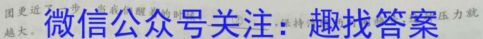 2023年普通高校招生考试冲刺压轴卷XGK(一)1语文