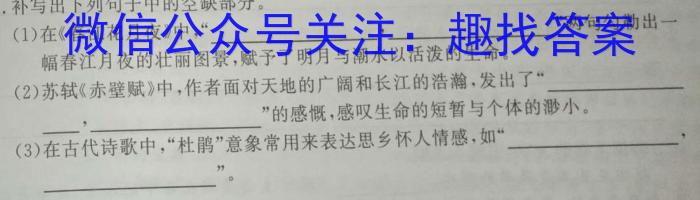 考前信息卷·第六辑 砺剑·2023相约高考考前冲刺预测卷(四)语文