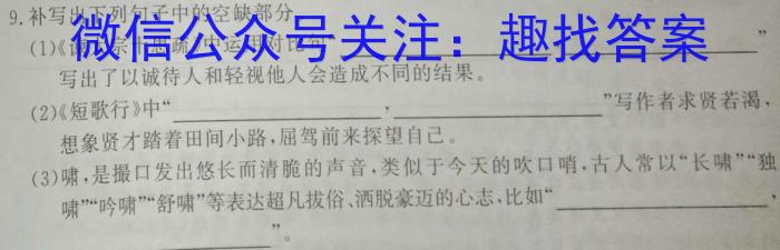 师大名师金卷2023年陕西省初中学业水平考试（一）语文