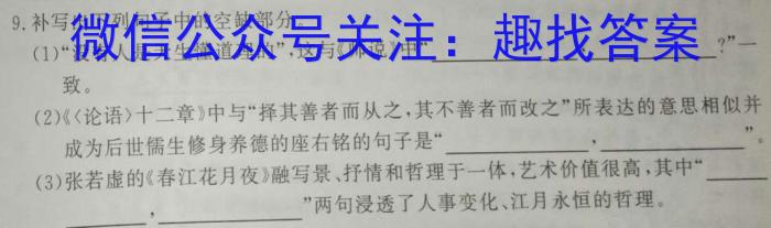 炎德英才大联考2023年普通高等学校招生全国统一考试考前演练三语文