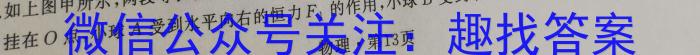 ɽʡ2025꼶׶R-PGZX F SHXxԾ