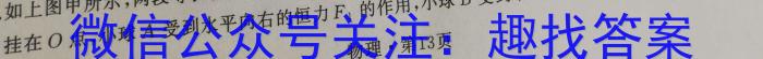 安徽第一卷·2023年安徽中考信息交流试卷（七）物理`