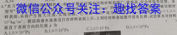 安徽省2024届八年级下学期教学质量监测（六）q物理