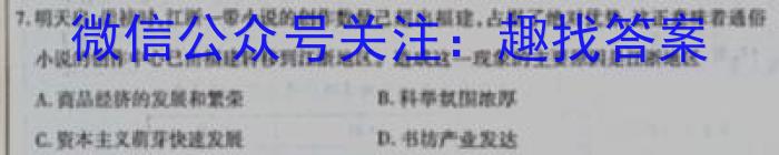 安徽省安庆市桐城市十校联考2024-2023学年九年级下学期选拔考试历史
