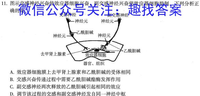 青桐鸣高考冲刺 2023年普通高等学校招生全国统一考试冲刺卷(一)生物