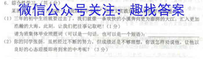 文博志鸿 2023年河北省初中毕业生升学文化课模拟考试(导向一)语文