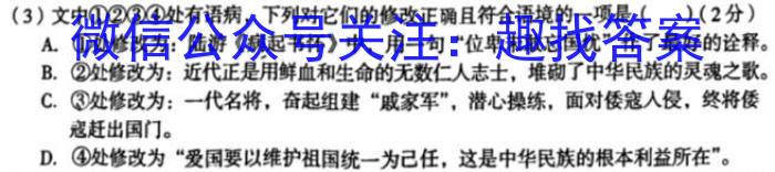 2023届新高考省份高三4月百万联考(478C)语文