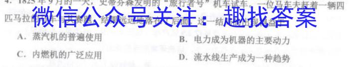 天一大联考 河南省2023年九年级学业水平模拟测评历史