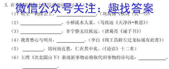 2023年普通高等学校招生全国统一考试·冲刺押题卷(新高考)(二)语文