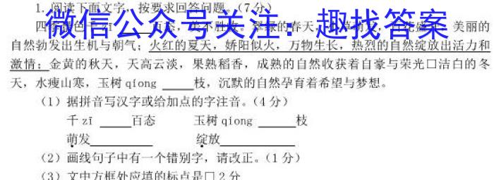 衡中文化2023年衡水新坐标·信息卷(五)语文