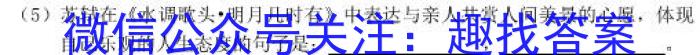 百校联赢·2023安徽名校大联考一语文