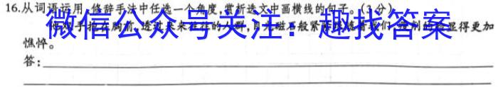 江淮名卷·2023年中考模拟信息卷(一)1语文