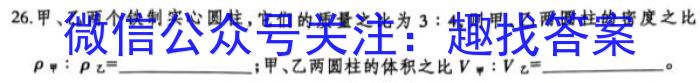 2023年万友中考模拟卷（四）f物理