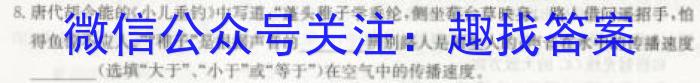 中考必刷卷·2023年安徽中考第一轮复习卷（十）q物理