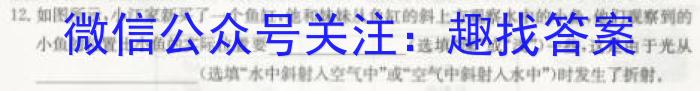 2023年普通高等学校招生全国统一考试 高考仿真冲刺押题卷(四)f物理