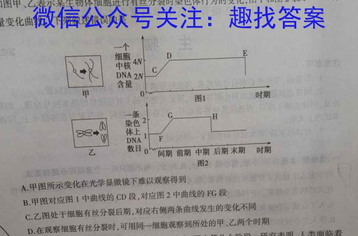 新疆乌鲁木齐2023年高三年级第二次质量监测(问卷)生物试卷答案