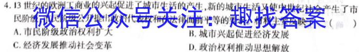 安徽省2023届九年级下学期教学评价二（期中）历史