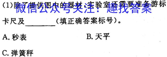 2023年辽宁大联考高三年级4月联考（478C·LN）f物理