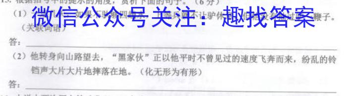 湖南省三湘名校教育联盟2023届高三3月大联考语文