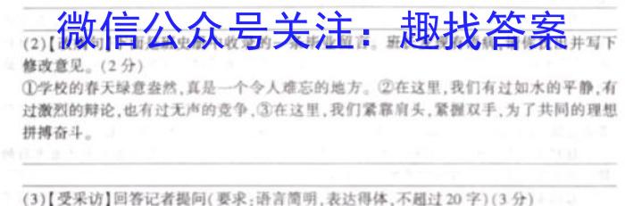 佩佩教育·2023年普通高校统一招生考试 湖南四大名校名师团队模拟冲刺卷(4)语文