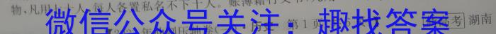 2023年陕西省初中学业水平考试全真模拟试题A版历史