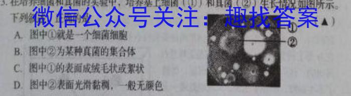 2022-2023学年山东省高二质量监测联合调考(23-356B)生物