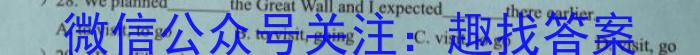 2023年河南省普通高中毕业班高考适应性练习英语